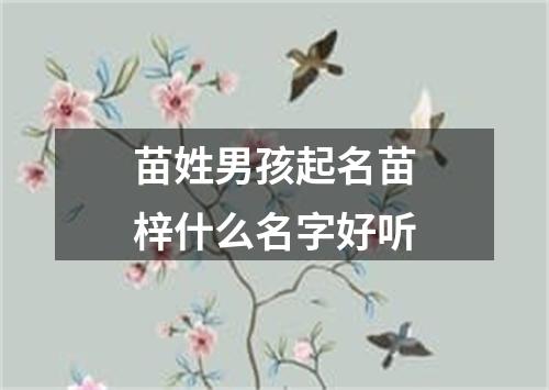 苗姓男孩起名苗梓什么名字好听