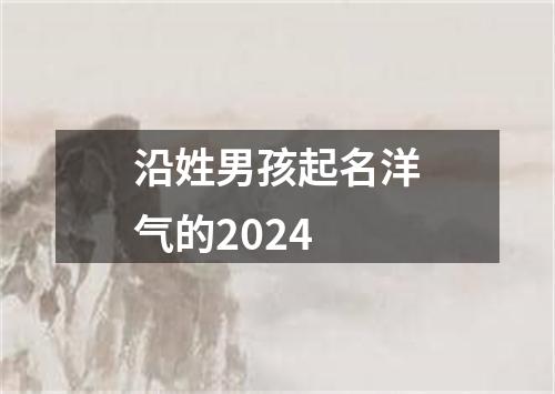 沿姓男孩起名洋气的2024