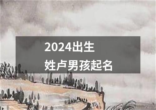 2024出生姓卢男孩起名