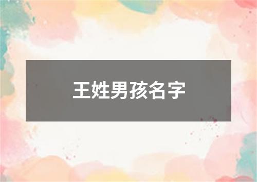 王姓男孩名字