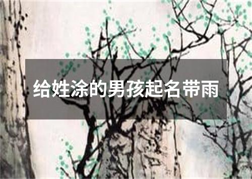 给姓涂的男孩起名带雨