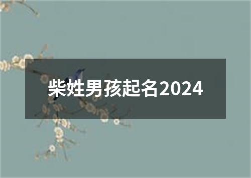 柴姓男孩起名2024