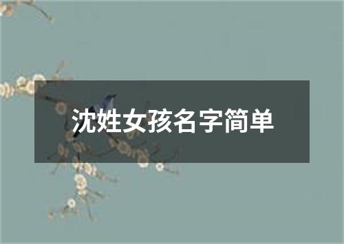 沈姓女孩名字简单