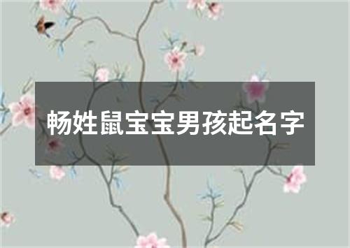 畅姓鼠宝宝男孩起名字