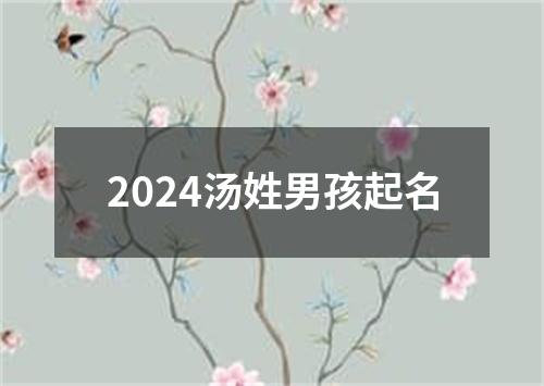 2024汤姓男孩起名