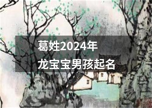 葛姓2024年龙宝宝男孩起名