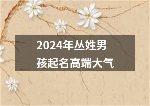 2024年丛姓男孩起名高端大气