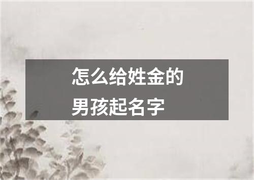 怎么给姓金的男孩起名字