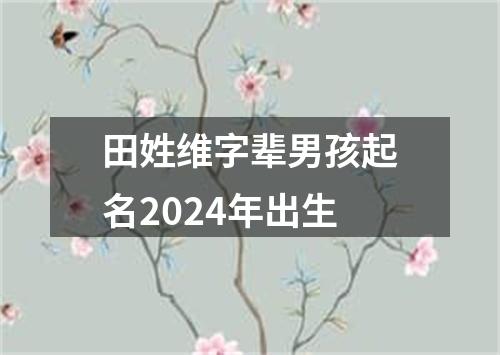 田姓维字辈男孩起名2024年出生