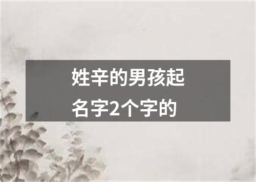 姓辛的男孩起名字2个字的