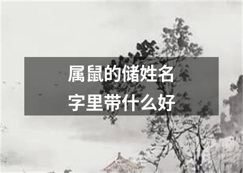 属鼠的储姓名字里带什么好