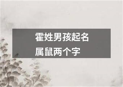 霍姓男孩起名属鼠两个字