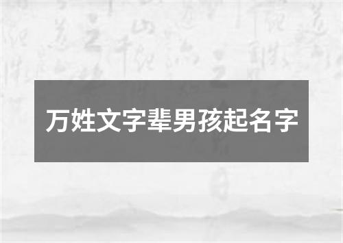 万姓文字辈男孩起名字