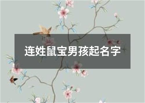 连姓鼠宝男孩起名字