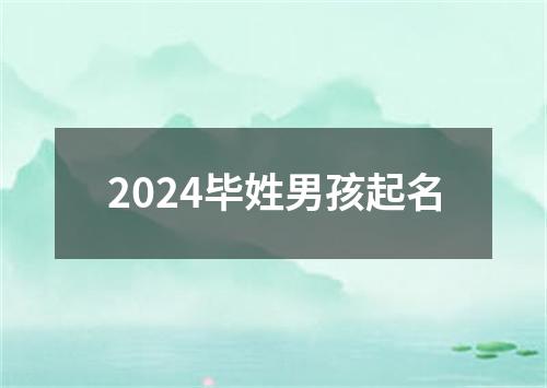 2024毕姓男孩起名