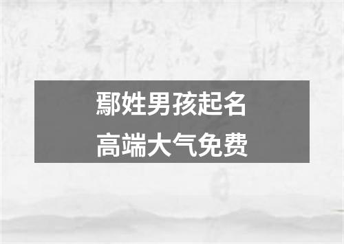 鄢姓男孩起名高端大气免费