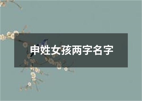 申姓女孩两字名字