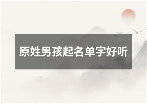 原姓男孩起名单字好听