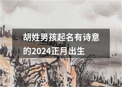 胡姓男孩起名有诗意的2024正月出生