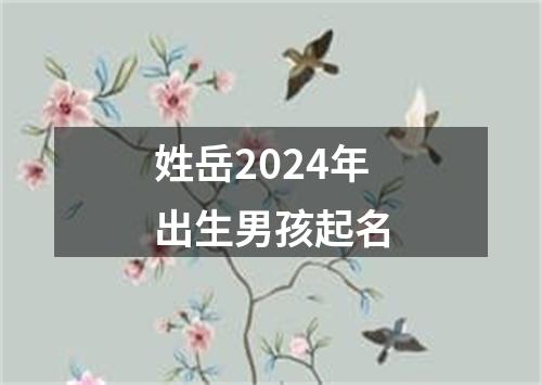 姓岳2024年出生男孩起名