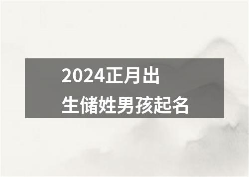 2024正月出生储姓男孩起名