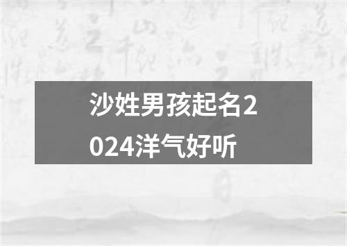 沙姓男孩起名2024洋气好听