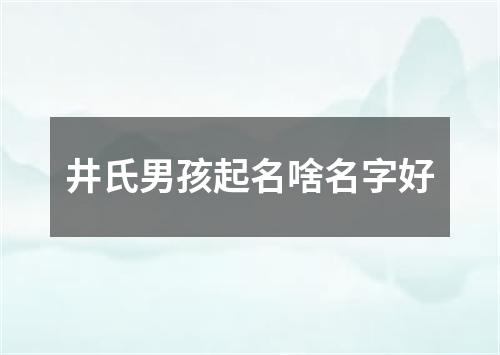 井氏男孩起名啥名字好