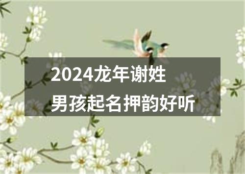 2024龙年谢姓男孩起名押韵好听