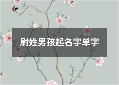 尉姓男孩起名字单字