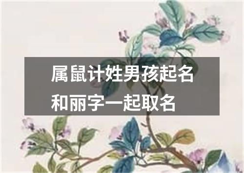 属鼠计姓男孩起名和丽字一起取名