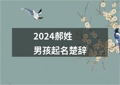 2024郝姓男孩起名楚辞