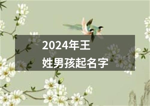 2024年王姓男孩起名字