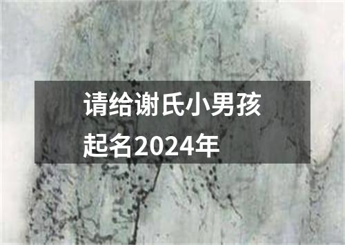 请给谢氏小男孩起名2024年