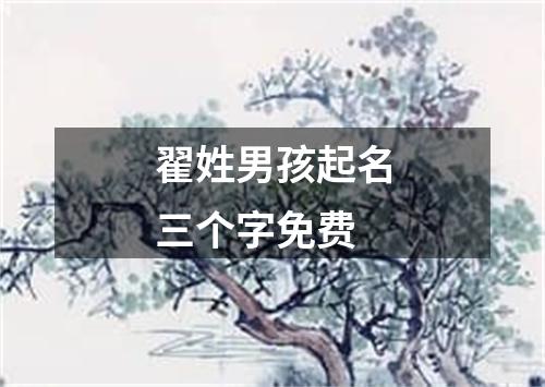 翟姓男孩起名三个字免费