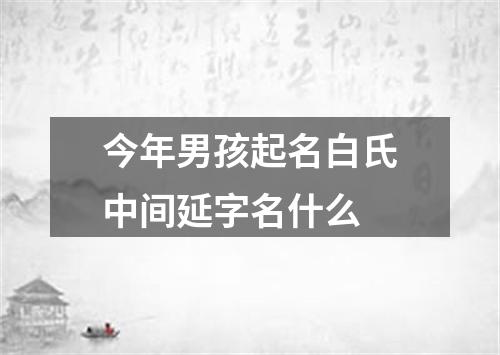 今年男孩起名白氏中间延字名什么