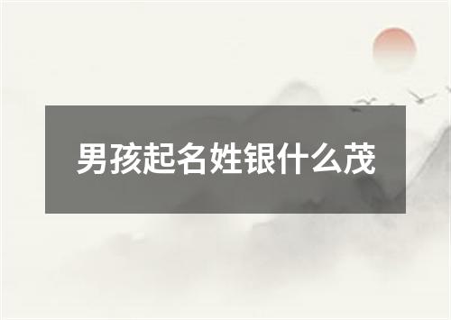 男孩起名姓银什么茂