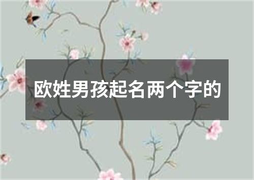 欧姓男孩起名两个字的