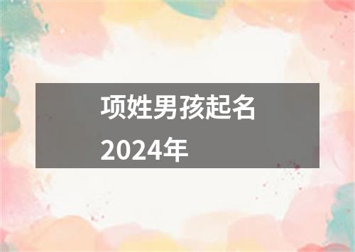 项姓男孩起名2024年