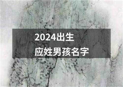 2024出生应姓男孩名字