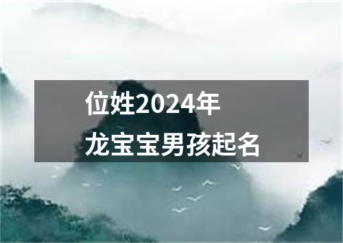 位姓2024年龙宝宝男孩起名