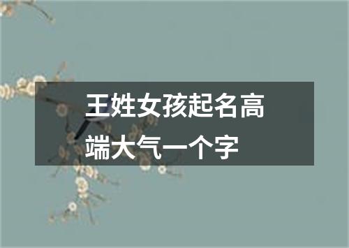 王姓女孩起名高端大气一个字