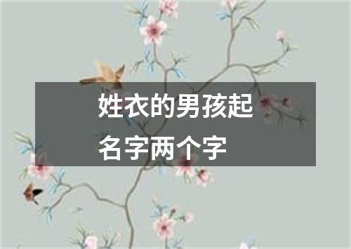 姓衣的男孩起名字两个字