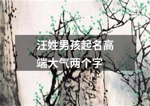 汪姓男孩起名高端大气两个字