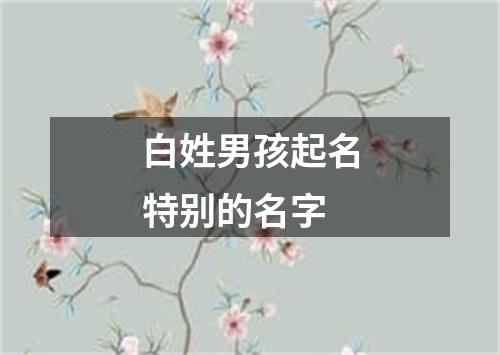 白姓男孩起名特别的名字