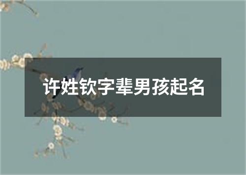 许姓钦字辈男孩起名