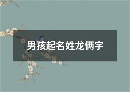 男孩起名姓龙俩字