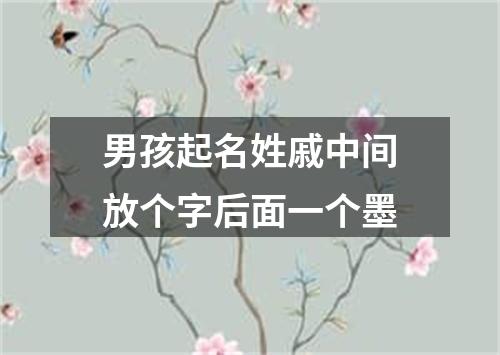 男孩起名姓戚中间放个字后面一个墨