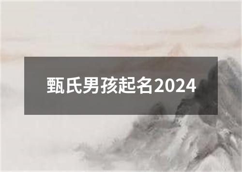 甄氏男孩起名2024