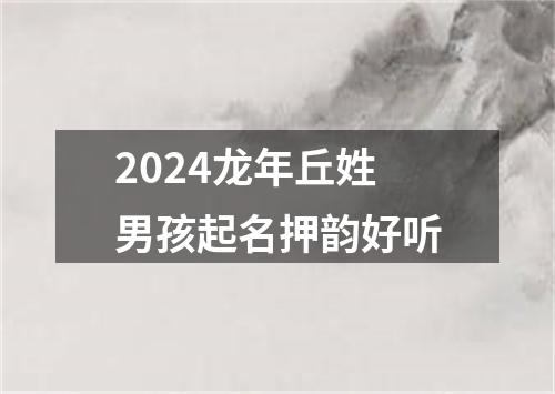 2024龙年丘姓男孩起名押韵好听