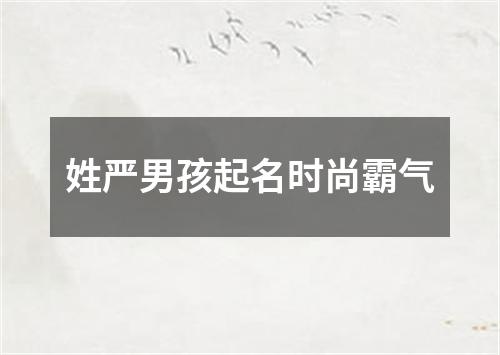 姓严男孩起名时尚霸气